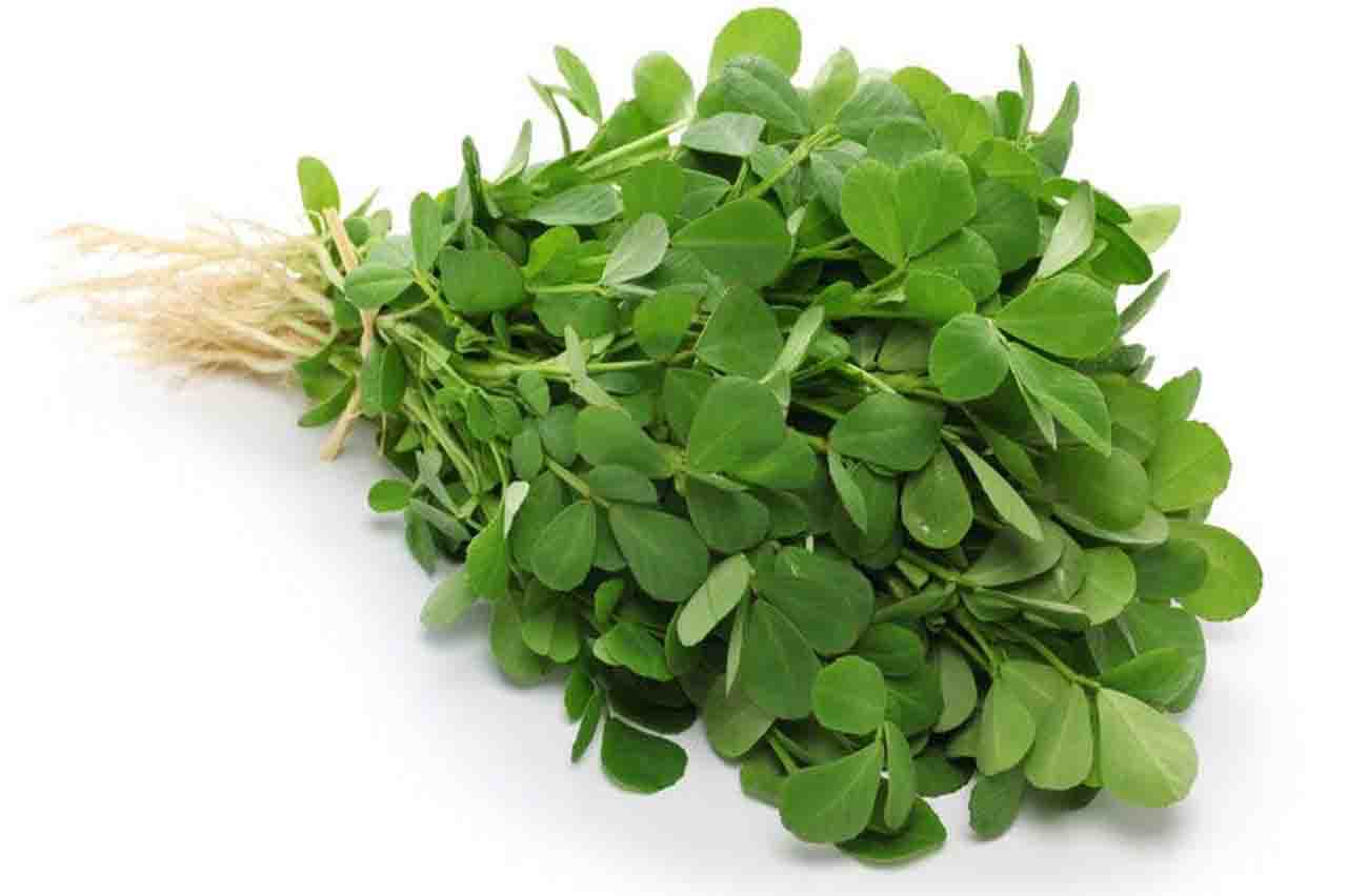 Methi